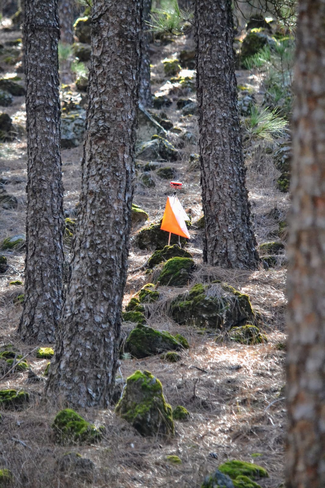 2° CARRERA T. 2025- LAGUNETAS
