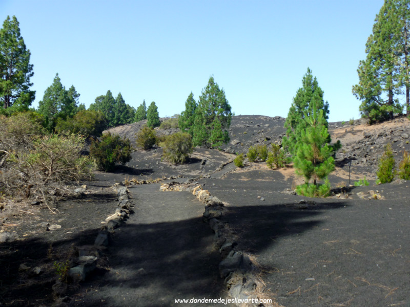 6° CARRERA T. 2025- Arenas Negras.